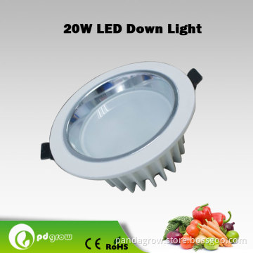 2014 LED Down Light with Color Temperature Changeable